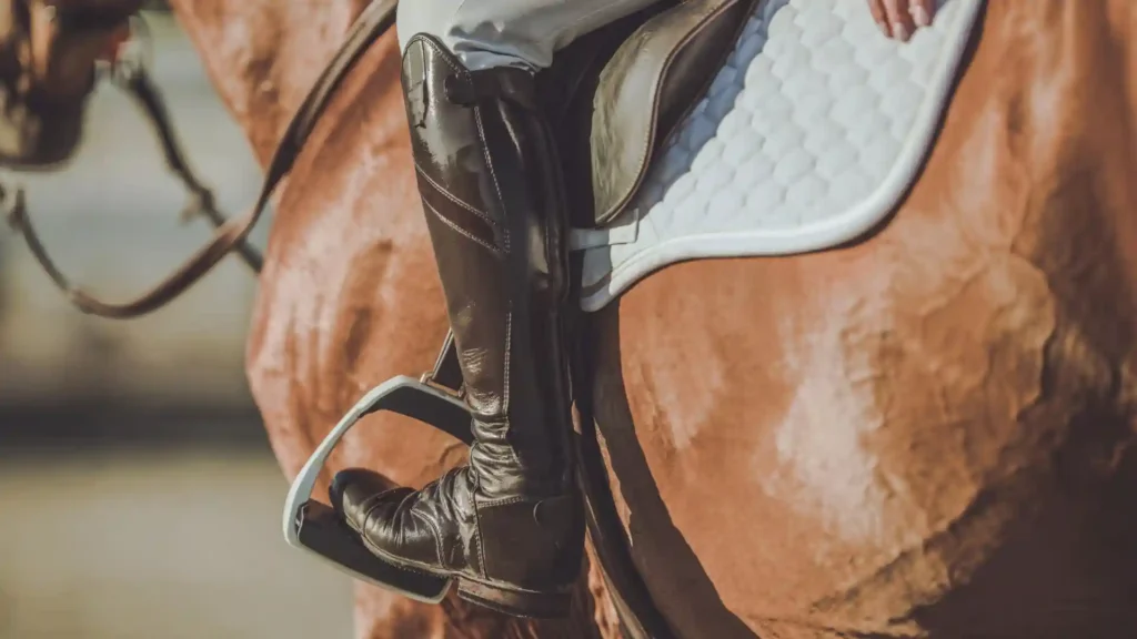 What is good to know about horse riding lessons? horseback riding