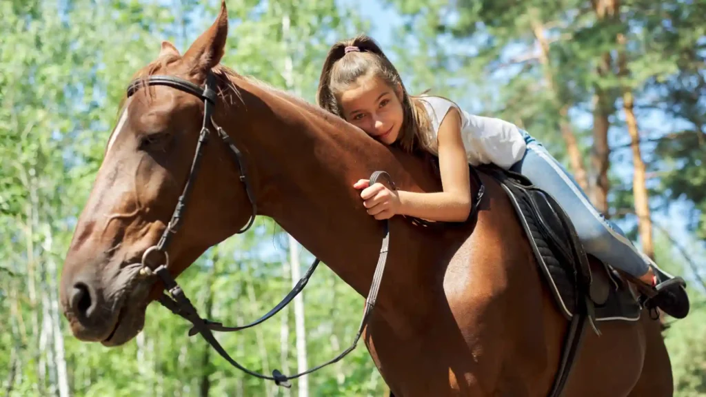 What is horse therapy - a definite guide horse therapy