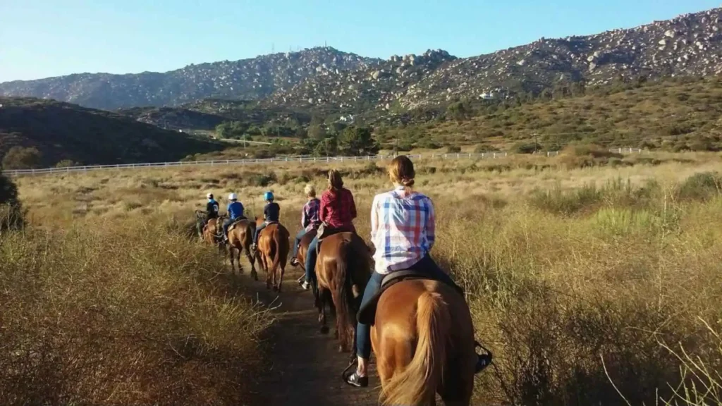 Horse Trail Riding in San Diego - Definite Guide trai-riding