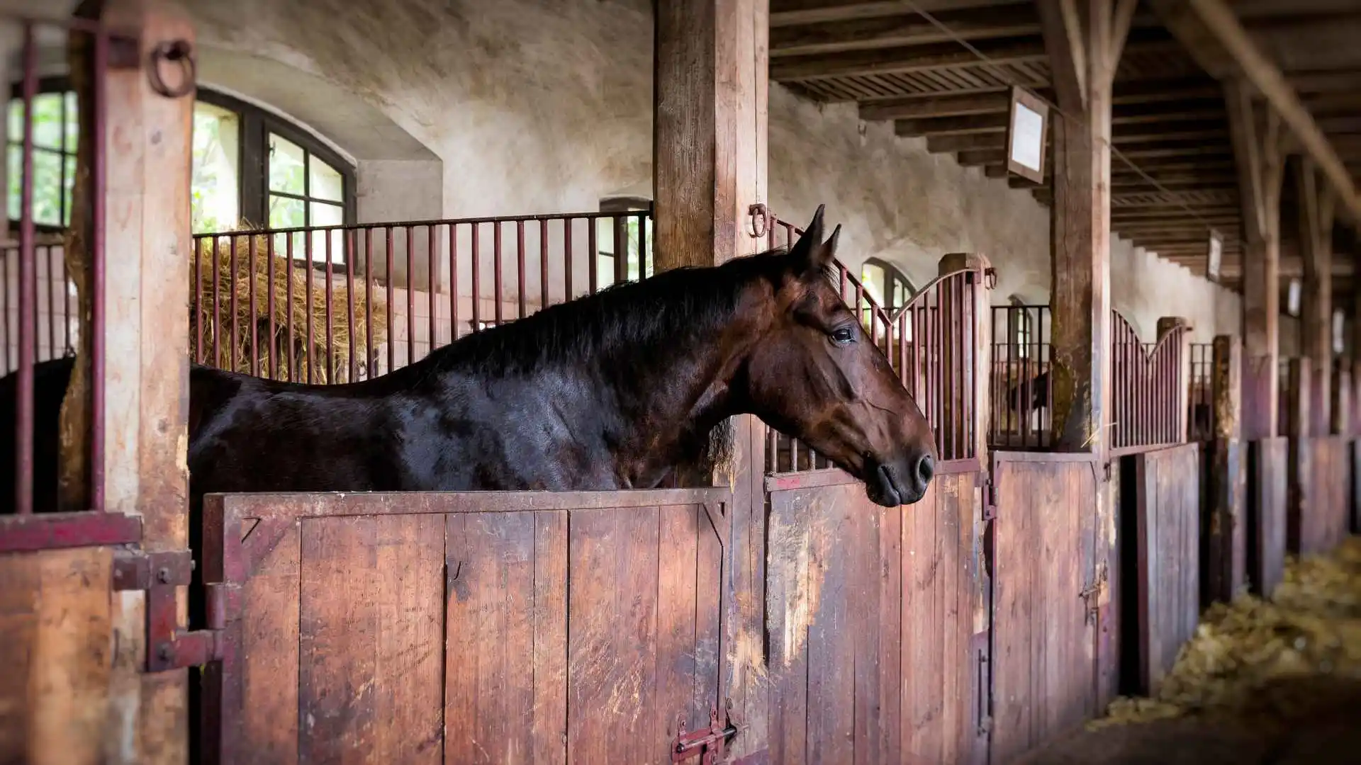 Home horse-boarding
