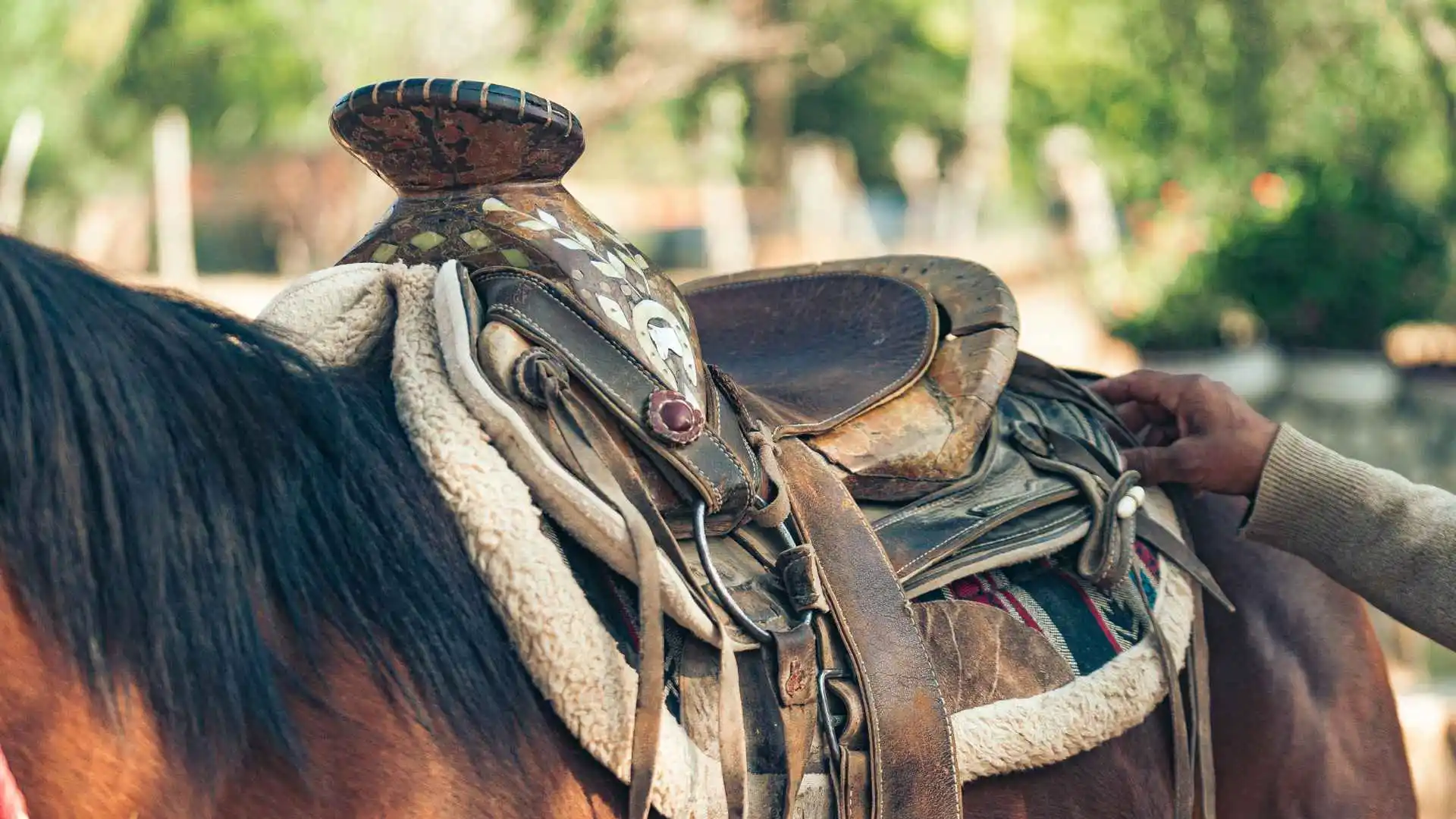 Home ranch experience