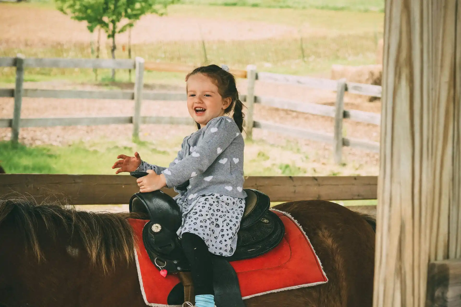 Blog horse riding san diego trail company