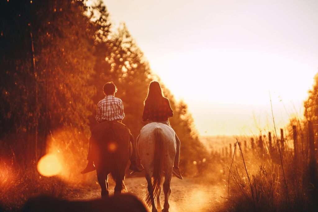 Best Horseback Trail Riding in San Diego: Your Ultimate Guide horseback trail riding near me