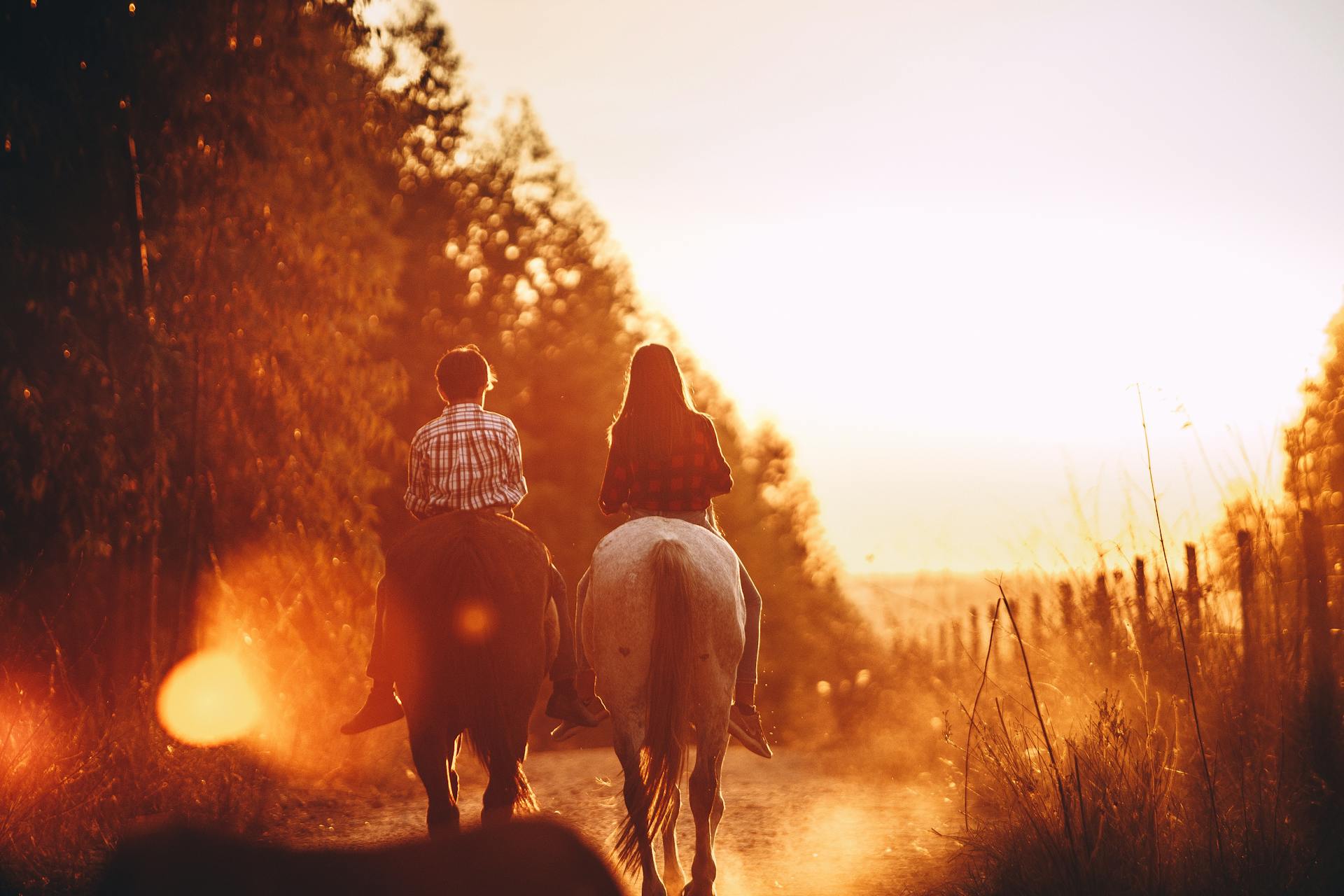 Blog horseback trail riding near me